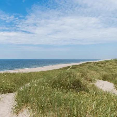 Ferienhaus Holiday Lviii Hvide Sande